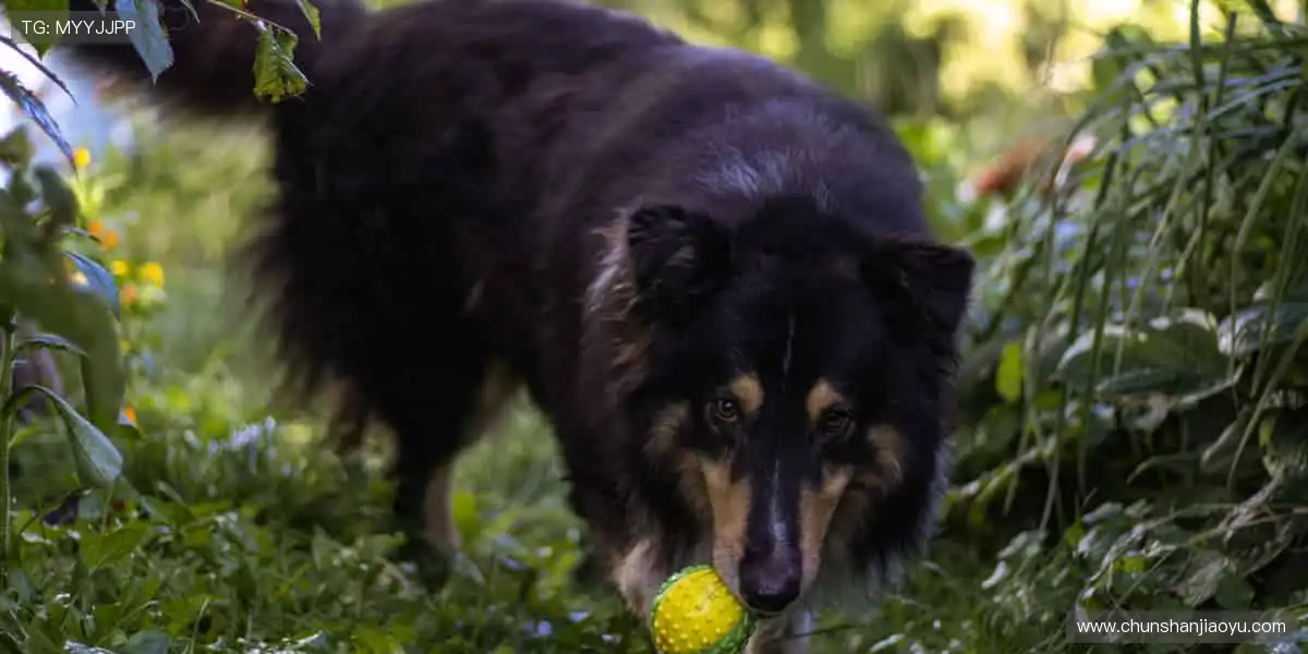 📱随时随地，想看就看！🎥多机位切换，沉浸式体验！